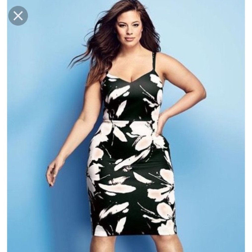 Ashley graham beyond dress for dressbarn
